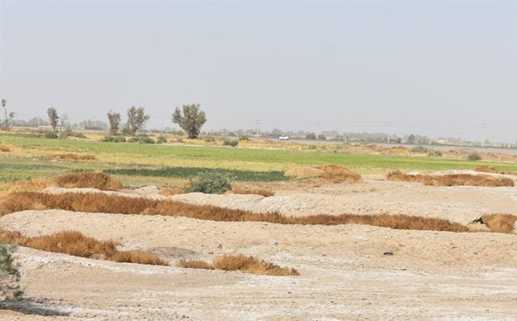 خسارت بیش از 540 میلیارد تومانی سرمازدگی و سیل امسال در استان سمنان