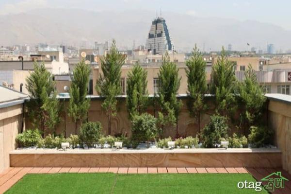 چرا روف گاردن مدولار محبوب ترین نوع بام سبز در ایران شده است؟